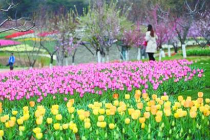 大連建首座官辦民助植物園