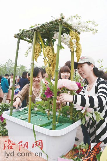 2014洛陽(yáng)市插花藝術(shù)大賽介紹