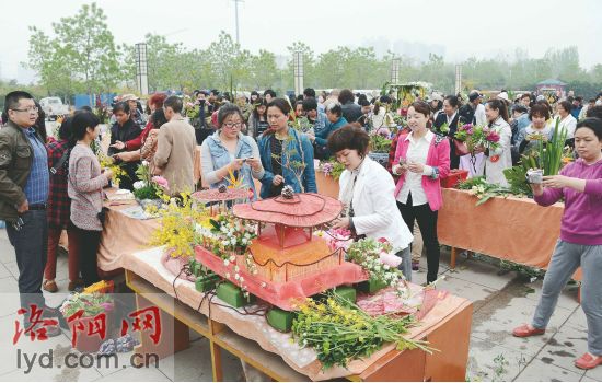 2014洛陽(yáng)市插花藝術(shù)大賽介紹